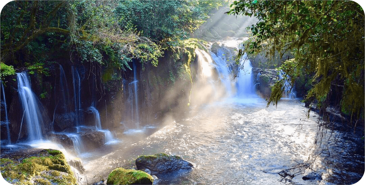 菊池峽谷 菊池溪谷的絕景瀑布，令人著迷的美麗